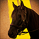 Horse Racing.